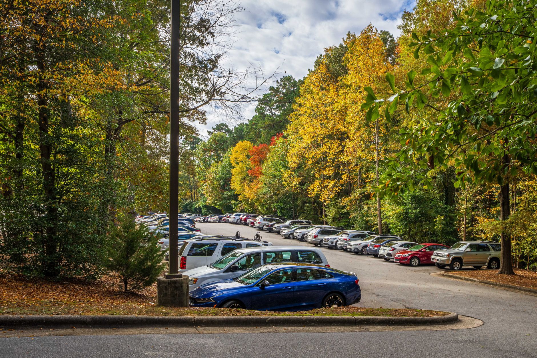 Parken am Deutsche Bank Park: Der Wald, die PreBooking-Pflicht und die Fahrkarte im Ticket